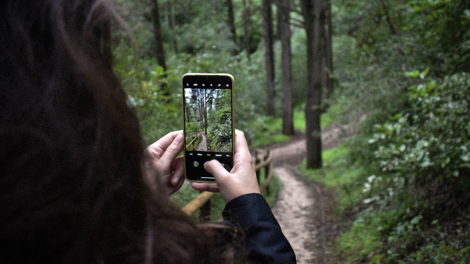 Kvinna använder mobiltelefon i skogen