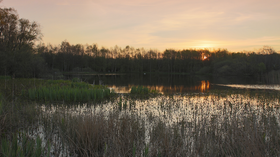 solnedgång över en sjö