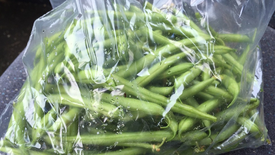 Green beans in a plastic bag