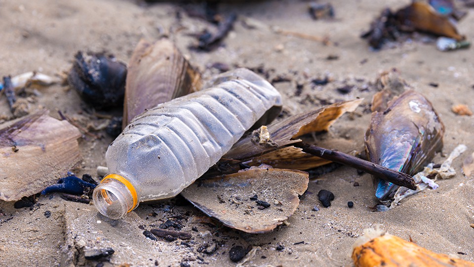 plastflaskor på en strand