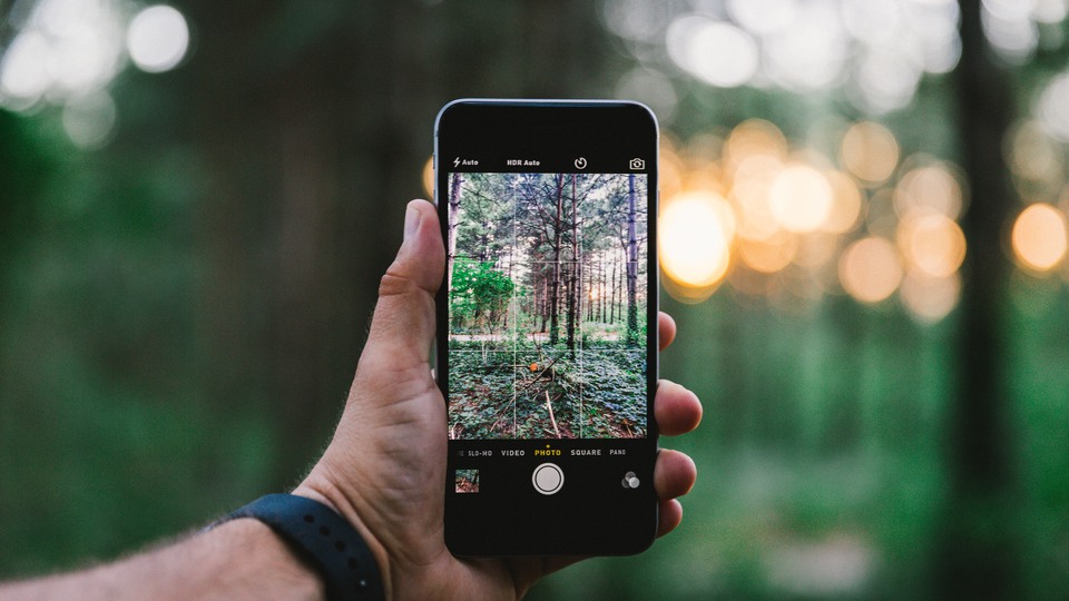 Person fotograferar skog med mobilen
